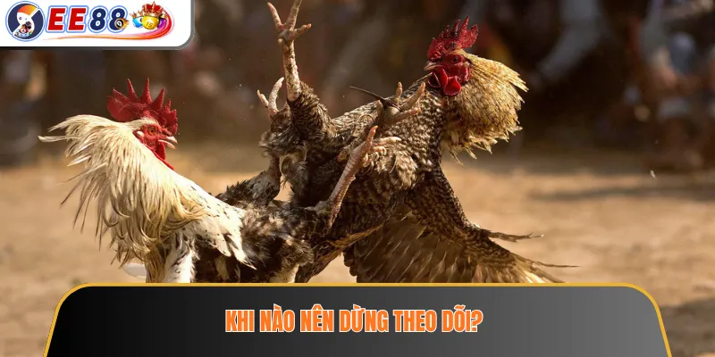 Khi nào nên dừng theo dõi?