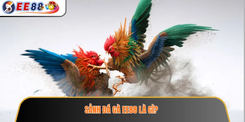 Sảnh đá gà EE88 là gì?