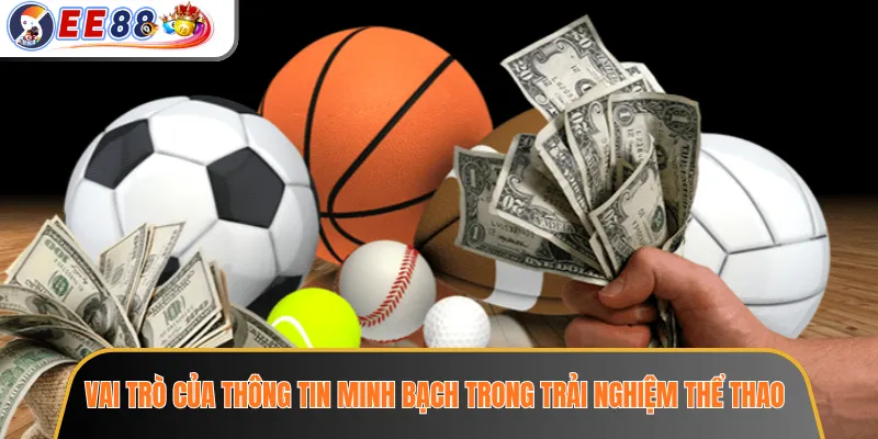 Sảnh Thể Thao EE88 - Khu Vực Theo Dõi Kèo Và Lịch Đấu 4 Vai trò của thông tin minh bạch trong trải nghiệm thể thao